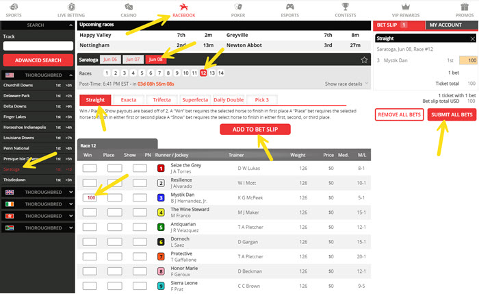 Screenshot showing clicks to place a bet on the 2024 Belmont Stakes online.